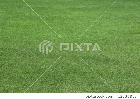 Lawn Lawn 12230813