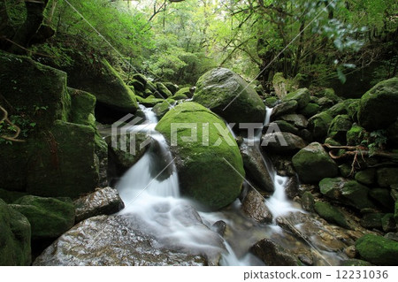 Eternal time 12231036