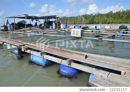 Kelong, offshore platform, built predominantly with woodby fishe 12231117