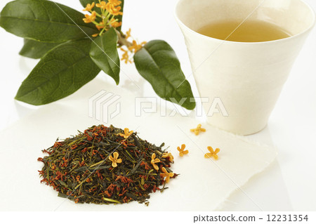 桂花花茶 12231354