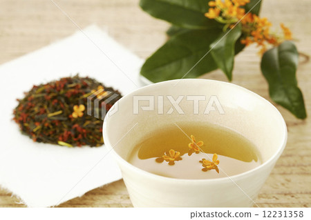 Osmanthus Osmanthus 12231358