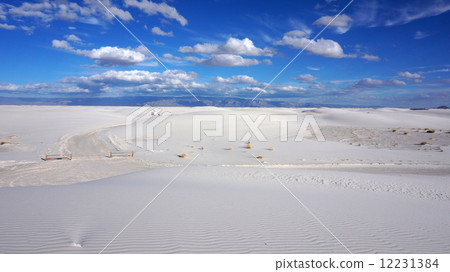 White Sands, New Mexico 12231384