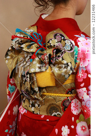Kimono 12231466