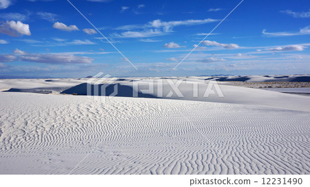 White Sands, New Mexico 12231490