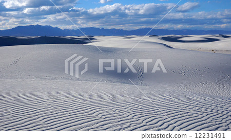 White Sands, New Mexico White Sands, New Mexico 12231491