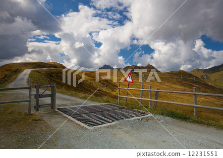 Cattle Guard in the Tirol mountains,Austria 12231551