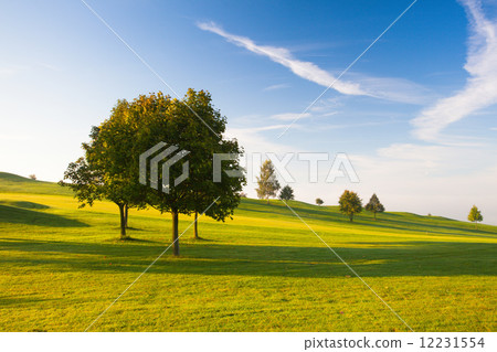 Misty morning on a empty golf course 12231554