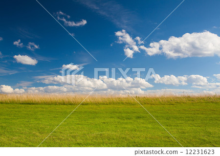 Detail of golf course in sunny day 12231623