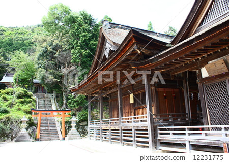 白井神社 12231775
