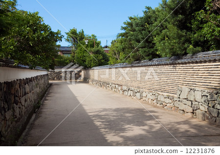 Kai mirari Hagi 12231876