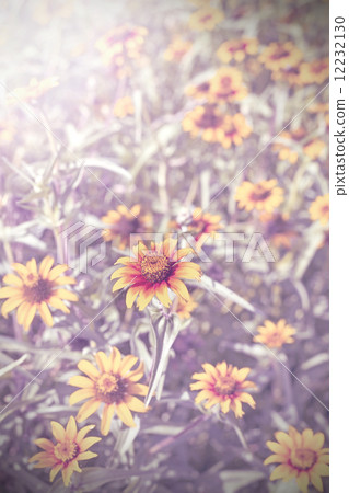 Vintage retro filtered flower background, shallow depth of field Vintage retro filtered flower background, shallow depth of field 12232130