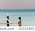 Sea of Cancun 12232405