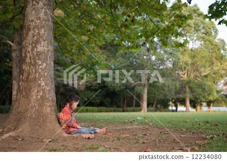 傾斜在樹的女孩 12234080