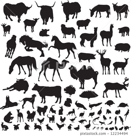 silhouettes of animals silhouettes of animals 12234494