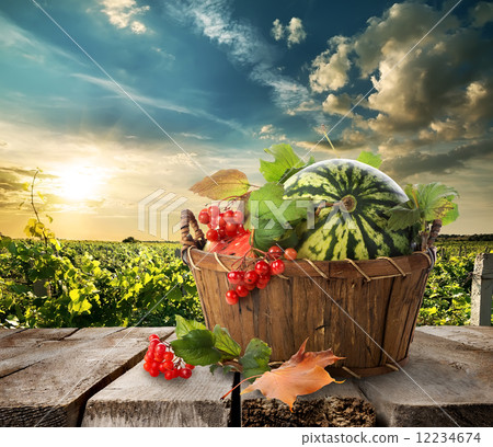 Watermelon in a basket Watermelon in a basket 12234674