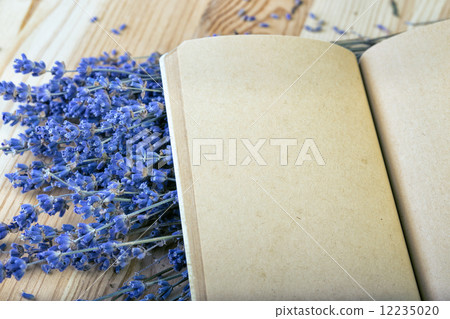 scrapbooking scrapbooking 12235020