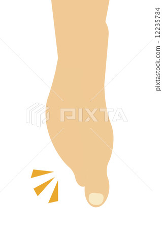 A pair of legs 12235784