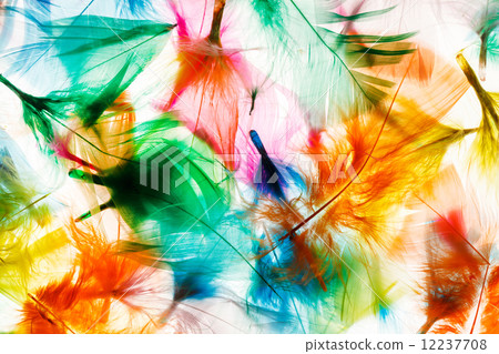 Colorful feathers 12237708