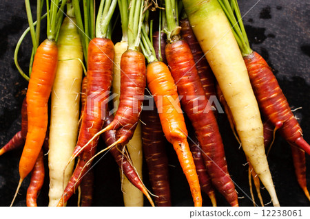 fresh carrots fresh carrots 12238061
