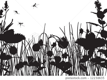 strawberry field silhouette 12238635