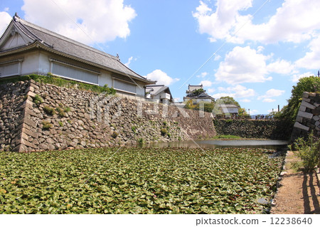大阪縣岸和田城 12238640