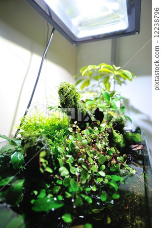 Aqua terrarium Aqua terrarium 12238796