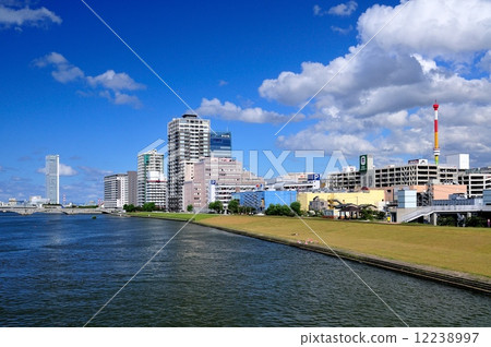 信濃川和雲 信濃川和雲 12238997