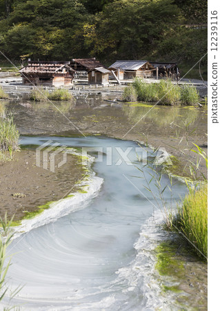 Source of Nikko Yumoto hot spring in Nikko city, Tochigi prefecture 12239116