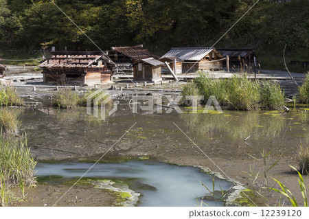 Source of Nikko Yumoto Onsen 12239120