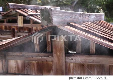 Source of Nikko Yumoto hot spring in Tochigi prefecture 12239128
