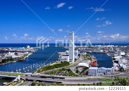 Niigata West Bridge early fall 12239151