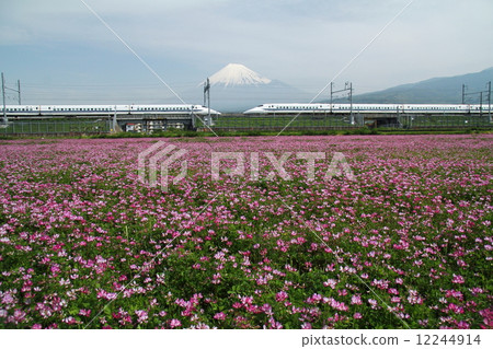 Renka領域的Matchmaker 12244914