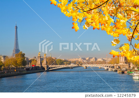 Alexandre III Bridge and Eiffel tower, Paris 12245879