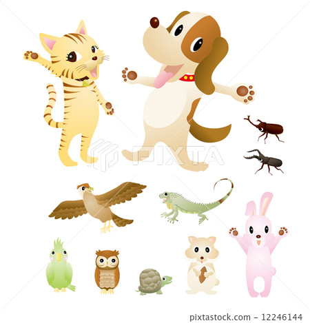 Animals and insects Animals and insects 12246144