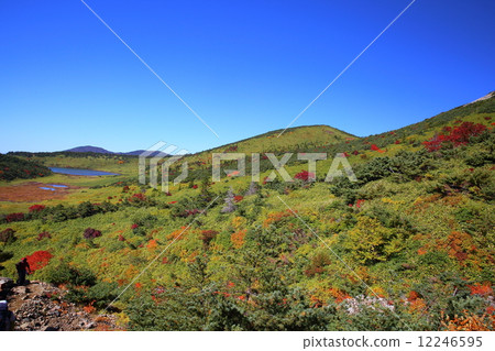 Jodo Plain Jodo Plain 12246595