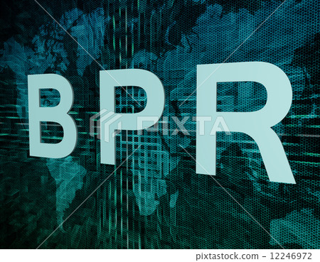 Business Process Reengineering 12246972