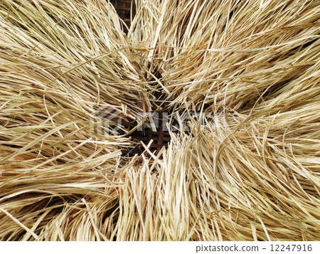 cropping arranging brown straw heap on rattan basket in black is 12247916