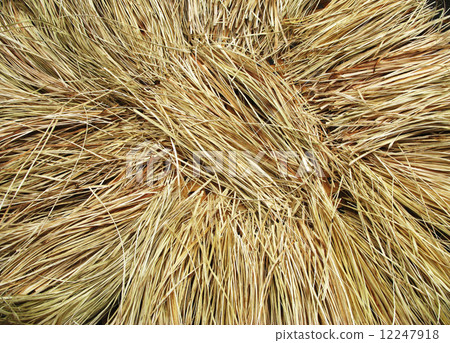 brown straw heap for background 12247918