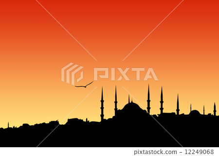 Evening Istanbul 12249068