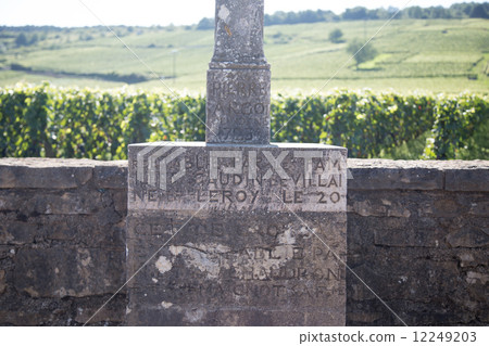 Romane Conti Romane Conti 12249203