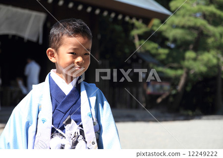 Shichigosan (5 years old) Shichigosan (5 years old) 12249222