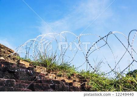 Rolled barbed wires for security zone Rolled barbed wires for security zone 12249440