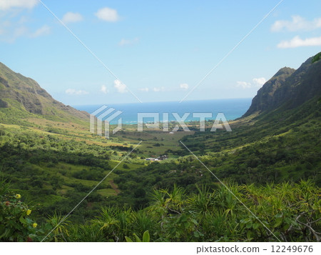 Kualoa Ranch 12249676