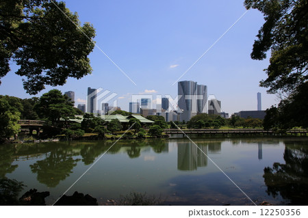 Hamarikyu Garden in early autumn 12250356
