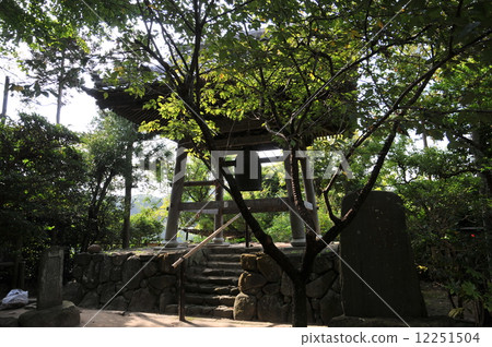 Kamakura Sugimotoji 12251504