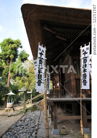 Kamakura Sugimotoji 12251507