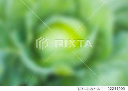 green bokeh abstract light background 12251903