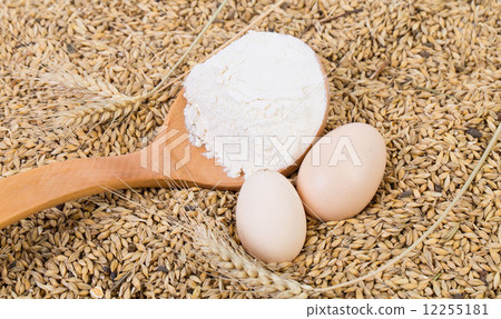 Two spoon full of flour. 12255181