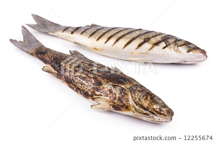 Grilled fishes Grilled fishes 12255674