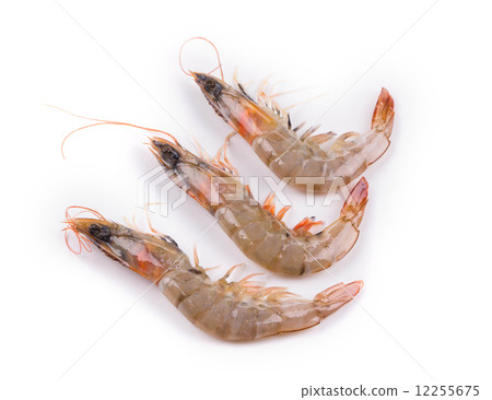 raw shrimps raw shrimps 12255675